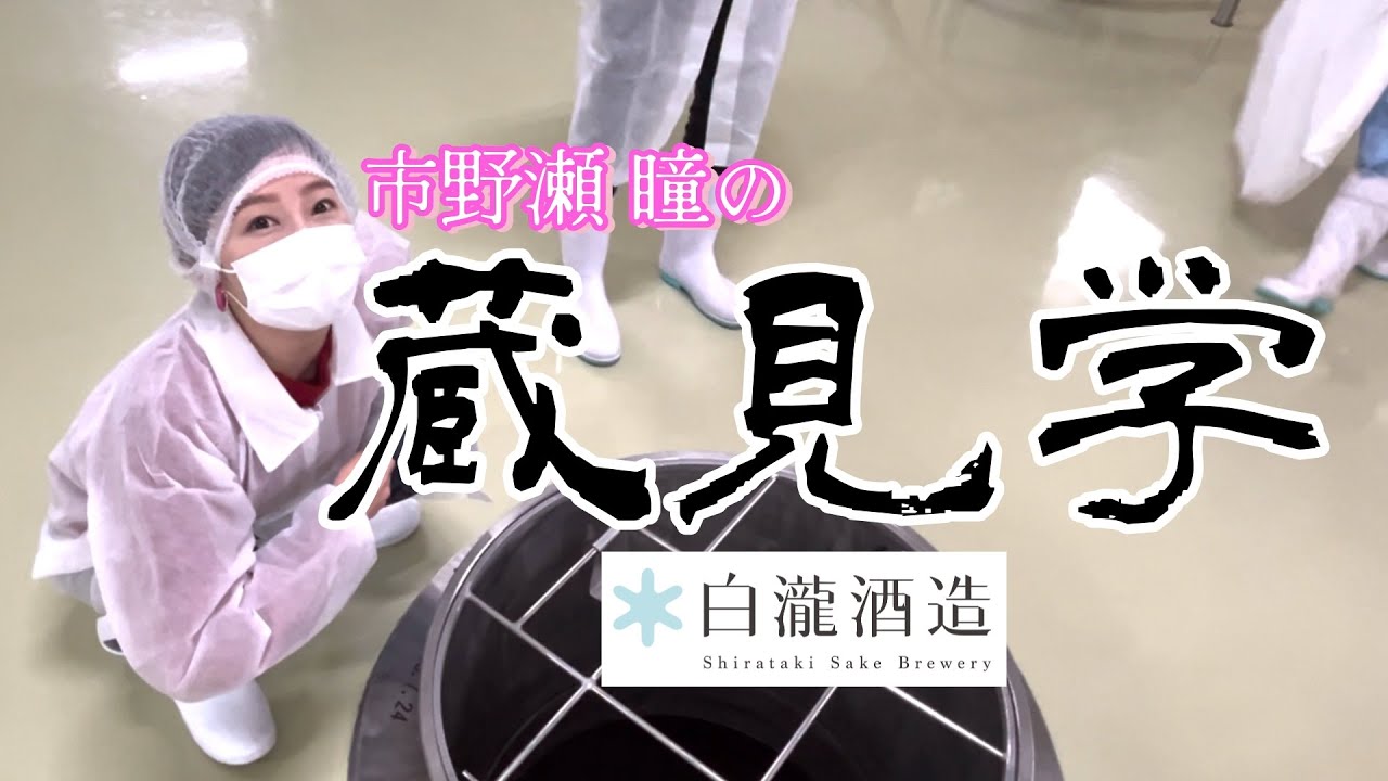 【感激】養老乃瀧アンバサダーのいっちーが新潟・白瀧酒造さんの蔵見学にいってきました