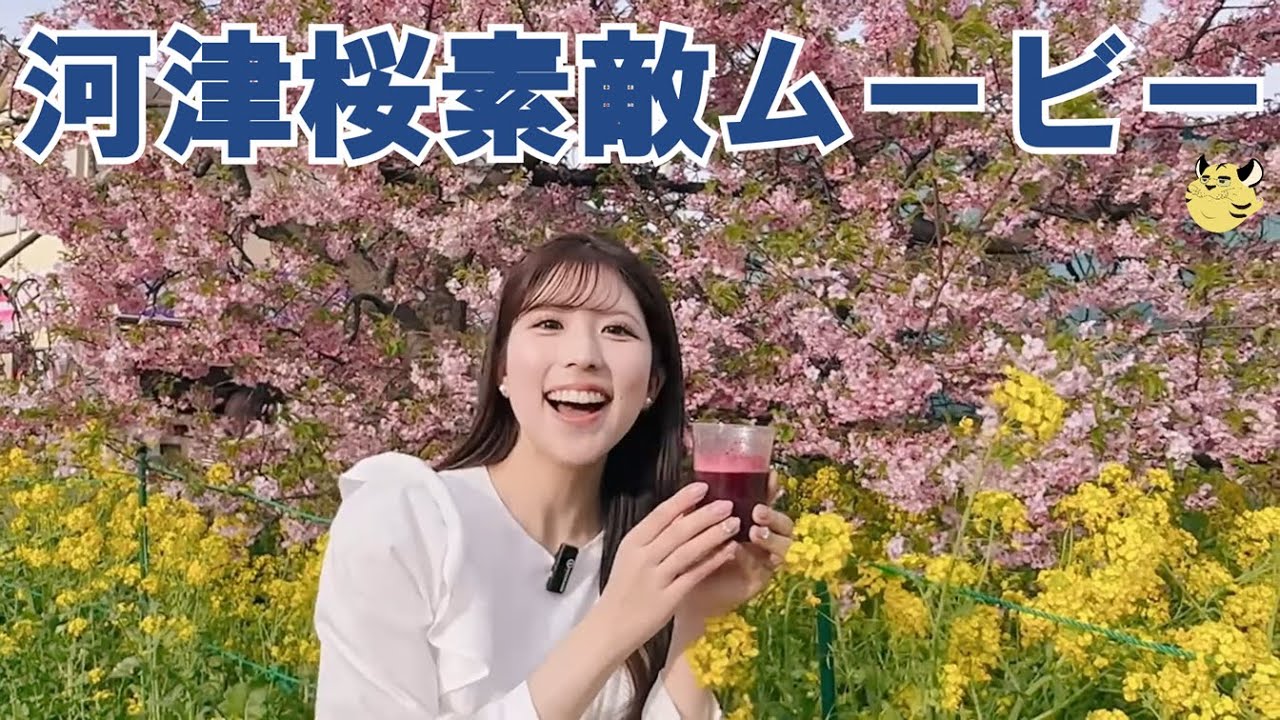 河津桜素敵ムービー【ウェザーニュースLiVE・小林李衣奈】