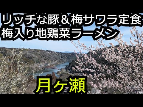 月ヶ瀬梅林2024＆豚肉炒めサワラ定食と梅入り地鶏菜ラーメン【奈良 月ヶ瀬】