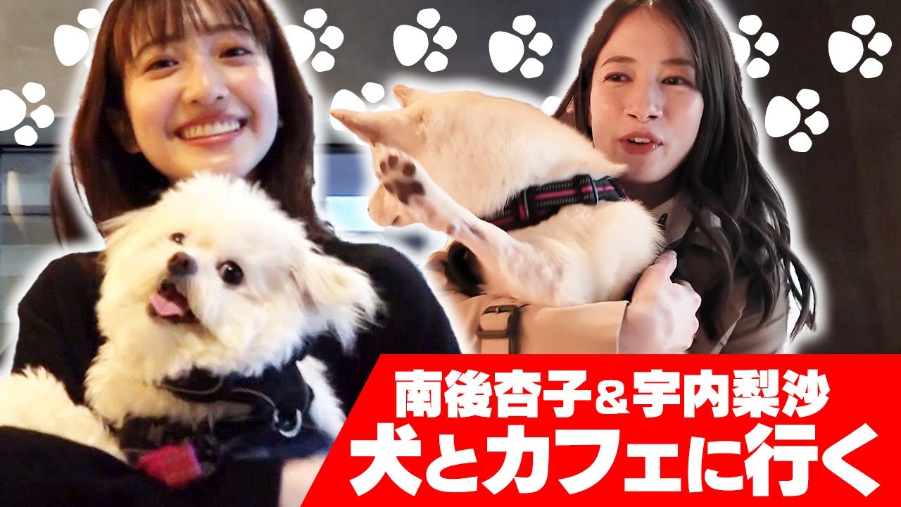 宇内アナ＆南後アナ 犬を連れてカフェに行く【チワプー＆柴犬】