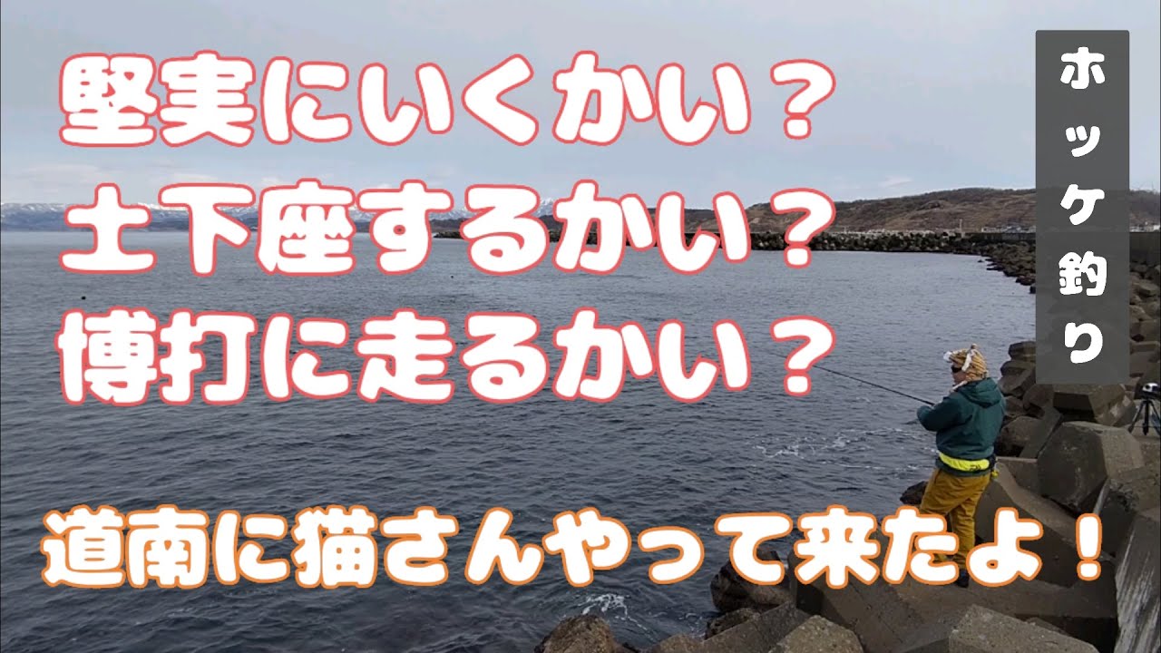 【ホッケ釣り】ロッドが無い！！【猫さんとタックさん】