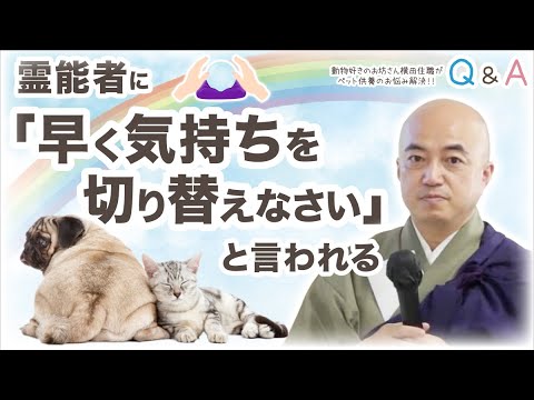 Q23.霊能者に「早く気持ちを切り替えなさい」と言われる／ペット供養Q&A