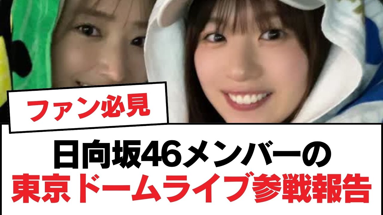 日向坂46メンバーの東京ドームライブ参戦報告【日向坂・日向坂で会いましょう】