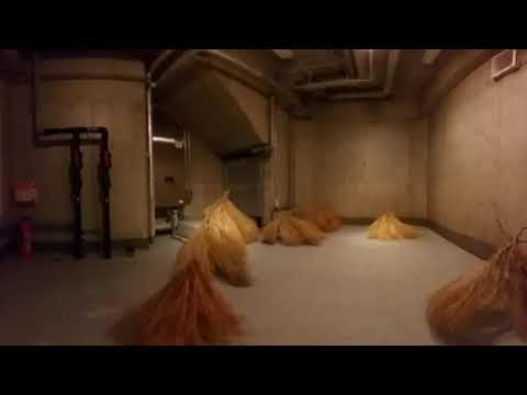 中村恭子・郡司ペギオ幸夫展「BOG BODY—召喚される身体」