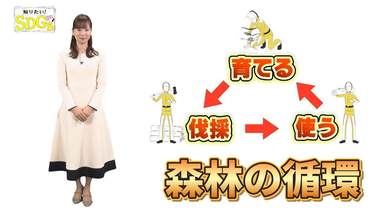 知りたい！SDGs #231 | 2024/2/29放送