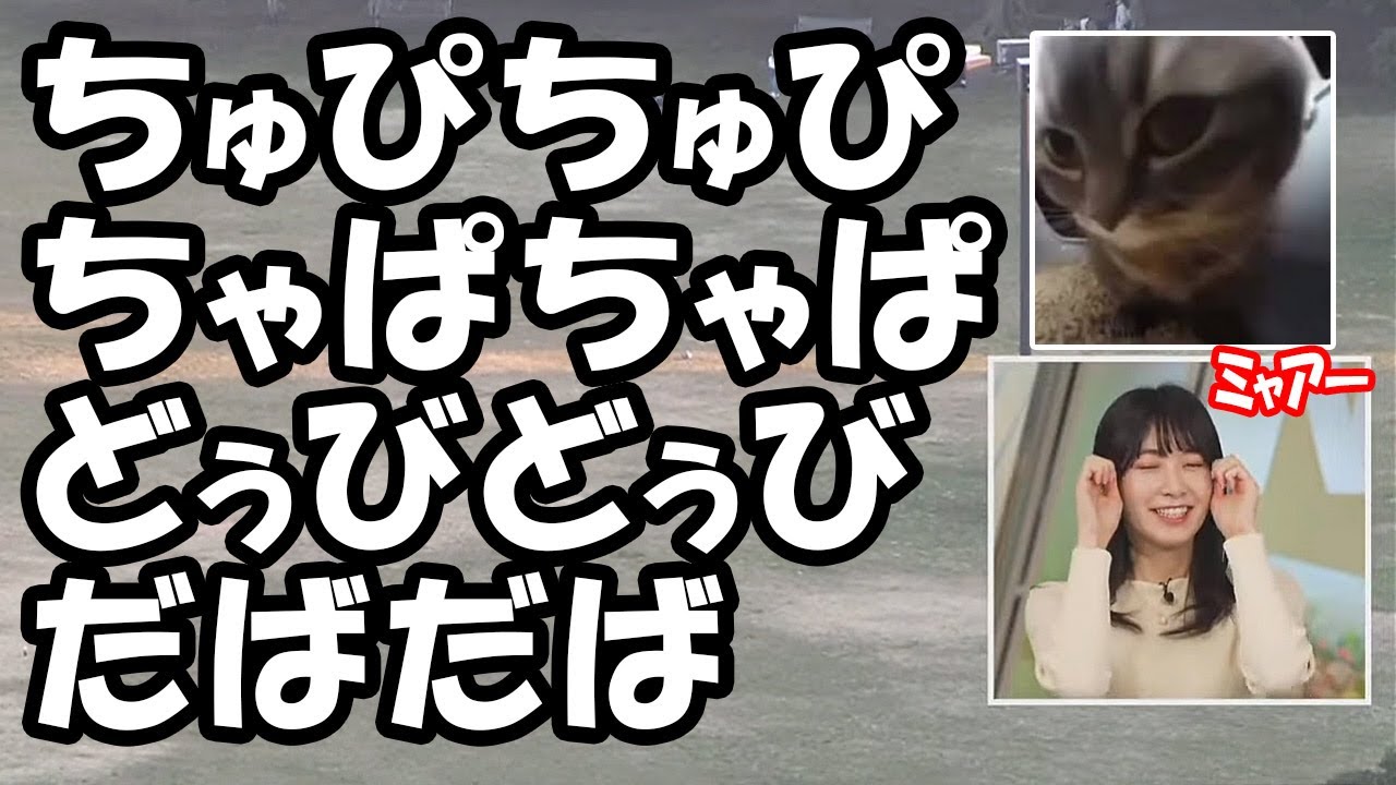 【檜山沙耶】最近キャスターの中でも流行ってる猫ミームを当然のように知ってて憑りつかれるお天気お姉さん