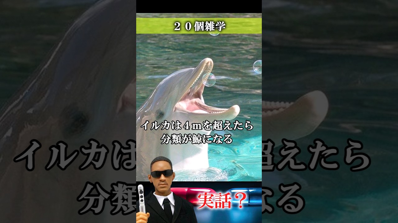【実話？】２０個雑学② #実話 #ニュース #ナニコレ