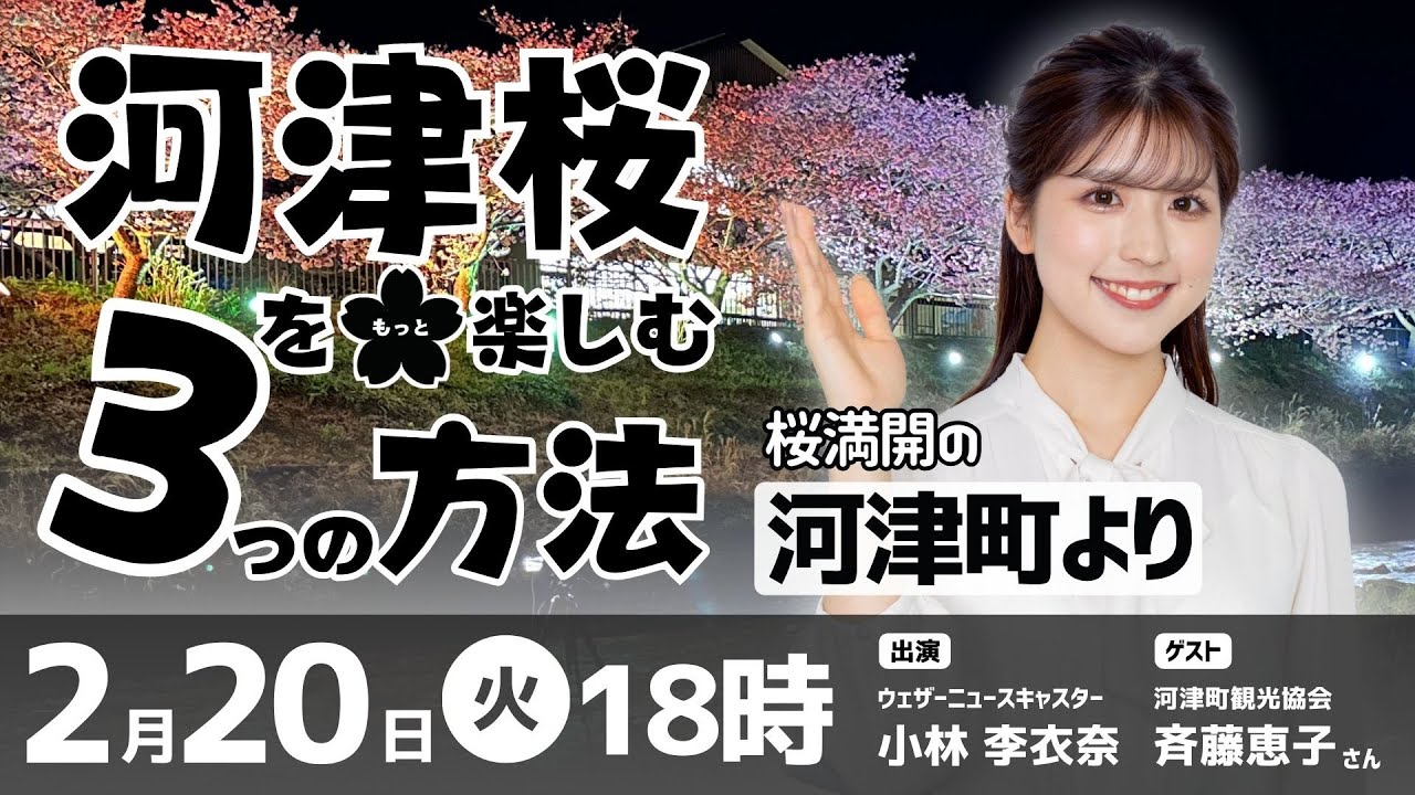 【桜満開の河津町からLIVE】河津桜をもっと楽しむ3つの方法／2024.2.20（火）18:00〜
