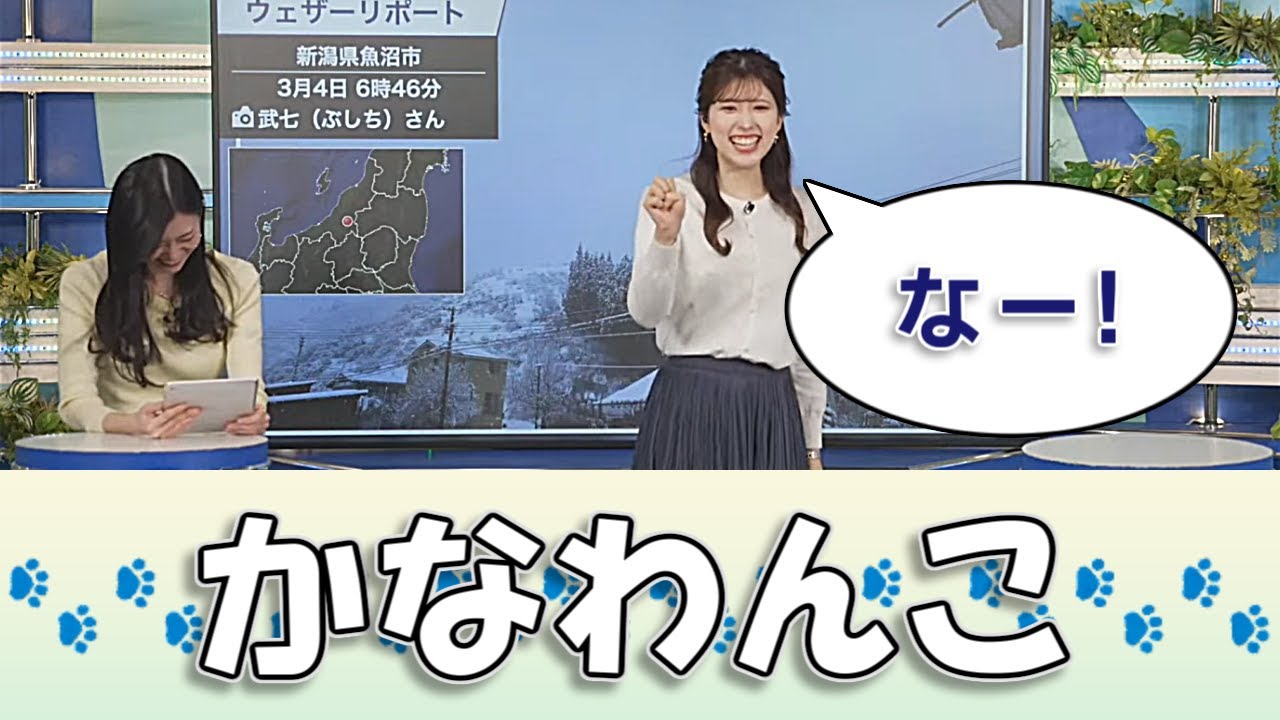 【#小林李衣奈 & #大島璃音】かなわんこ🐶【#ウェザーニュースLiVE #切り抜き】