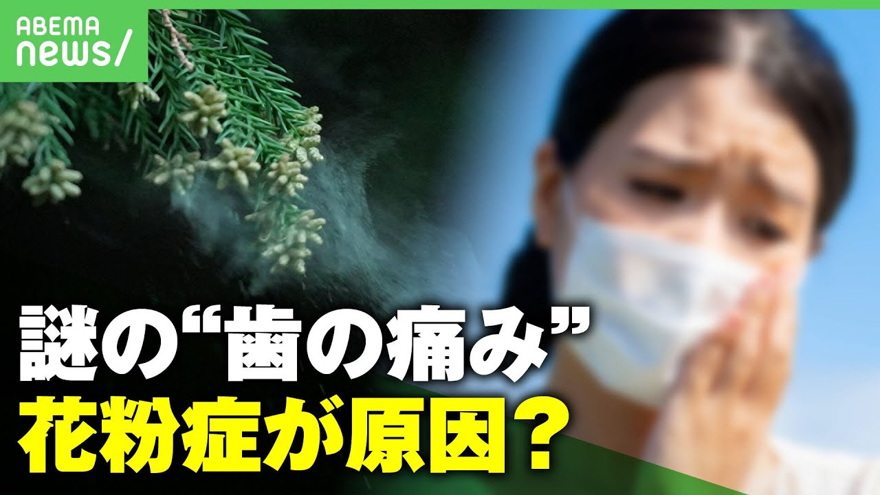 【花粉症で歯痛？】「走ると痛む人も…」SNSで相次ぐ謎の"歯の痛み" 原因は花粉症？対処法は？歯科医に聞く｜アベヒル