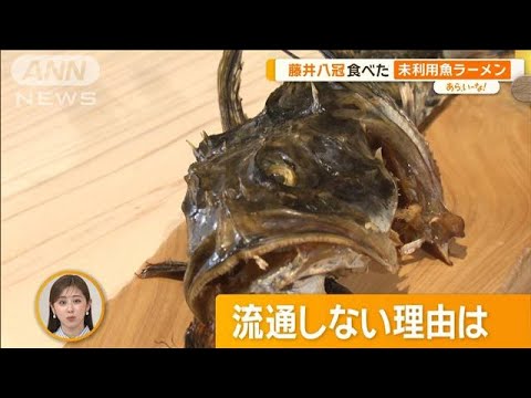 藤井八冠も食べた「未利用魚」ラーメン　“もったいない”から食の形に【あらいーな】【あらいーな】【グッド！モーニング】(2024年3月7日)