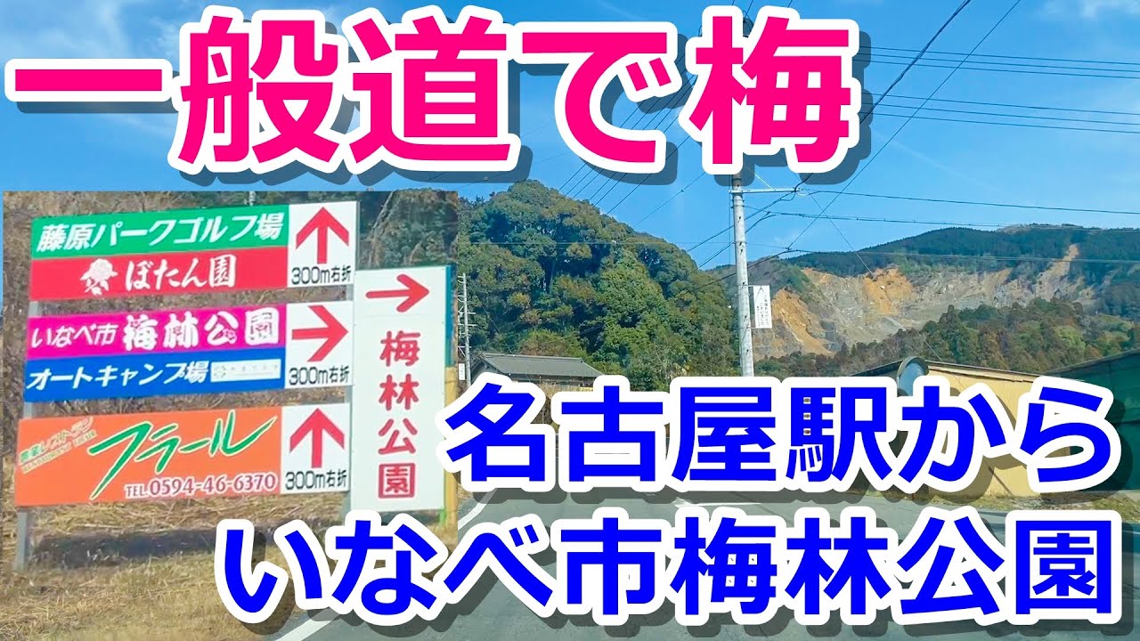 【一般道で梅】名古屋駅からいなべ市梅林公園までドライブする！【三重県】