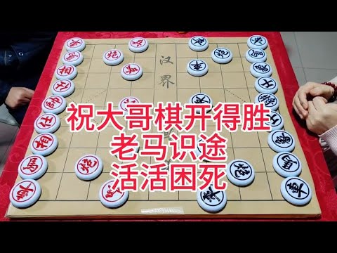 祝大哥棋开得胜  老马识途 活活困死