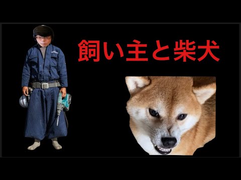 【柴犬飼い主54歳】驚かそうとして逆にやられる飼い主か！