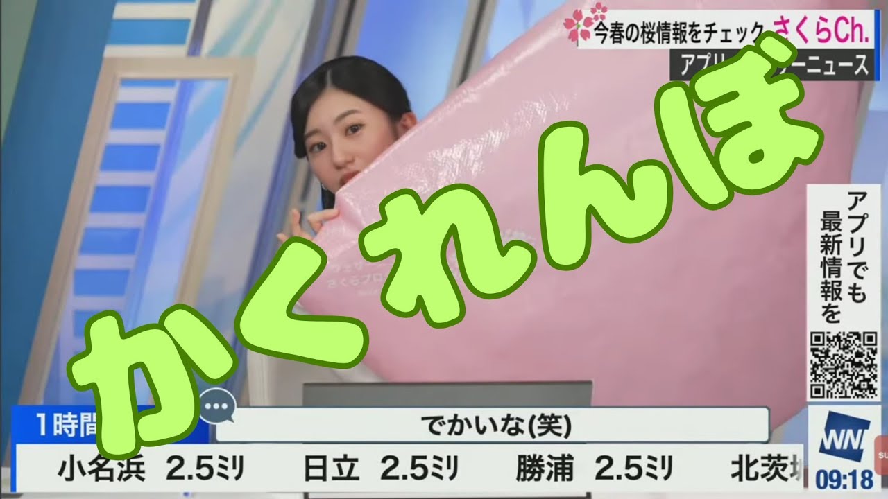 以外と大きいサクラレジャーシート。大島璃音キャスター。。。。