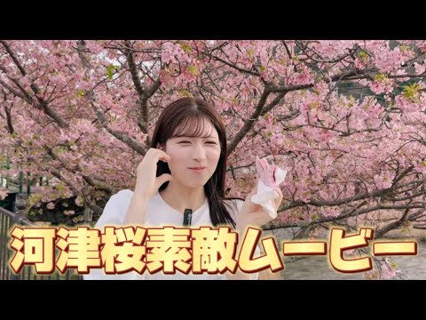 【河津桜素敵ムービーを作ろう】小林李衣奈キャスターと河津桜を見に行こう…！#河津桜素敵ムービー