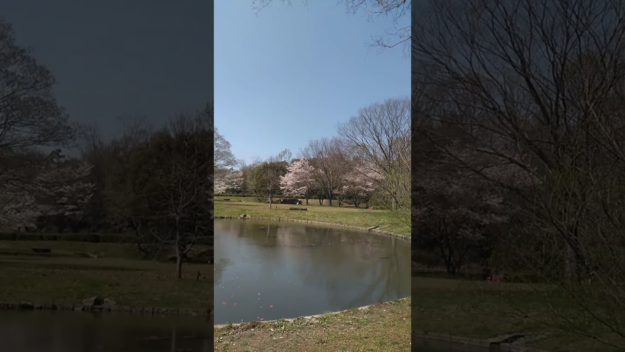 2024年3月12日