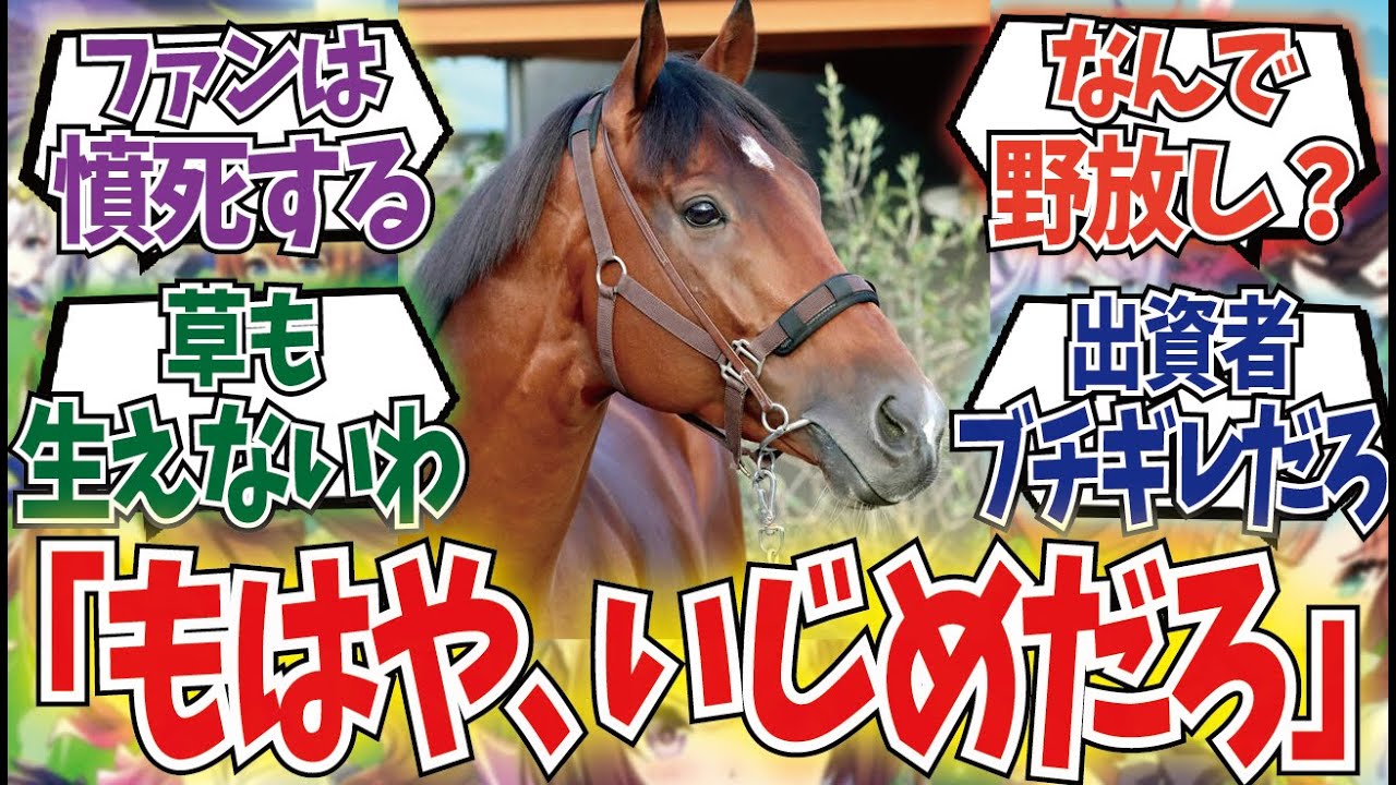 「ソーヴァリアントが可哀想すぎる…」に対するみんなの反応集