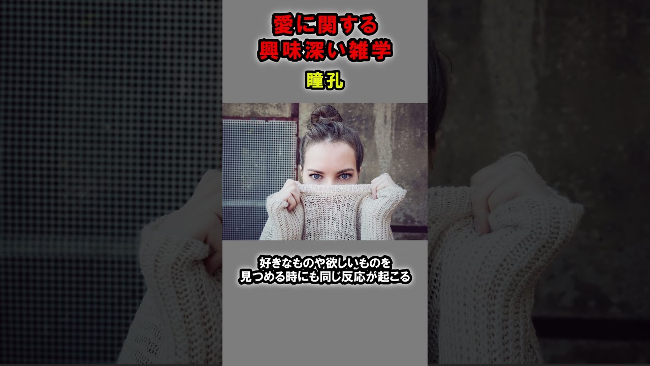 愛に関する興味深い雑学【5選】④