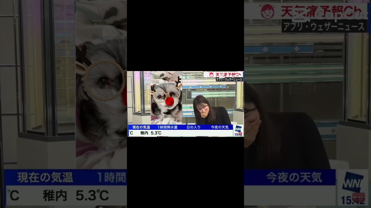 面白すぎる#shorts