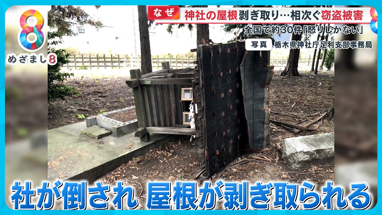 【なぜ】神社の屋根剥ぎ取られ無残な姿…相次ぐ被害 全国で30件も 転売目的？【めざまし８ニュース】