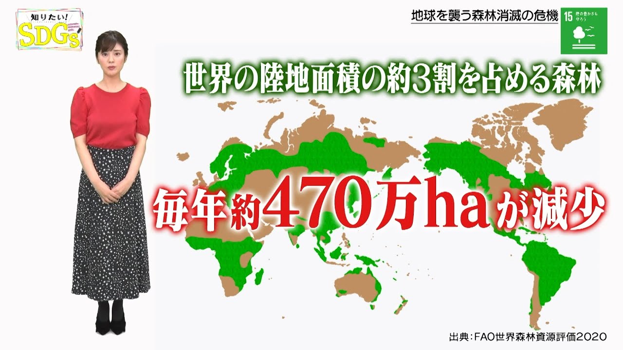 知りたい！SDGs #65 |2020年12月24日放送