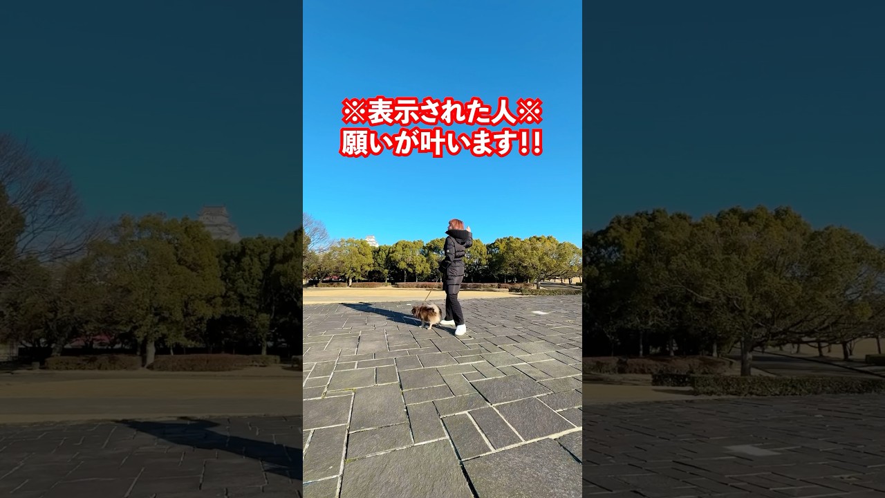 表示されたら⚠️願いが叶う‼️ガチ波動送り🎁 #引き寄せ #スピリチュアル #叶う #奇跡 #love