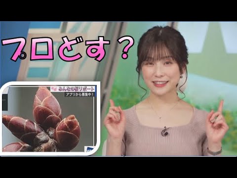 【松雪彩花】🎀っ「突然京都弁になるあやち(ニコ生コメ有り)」