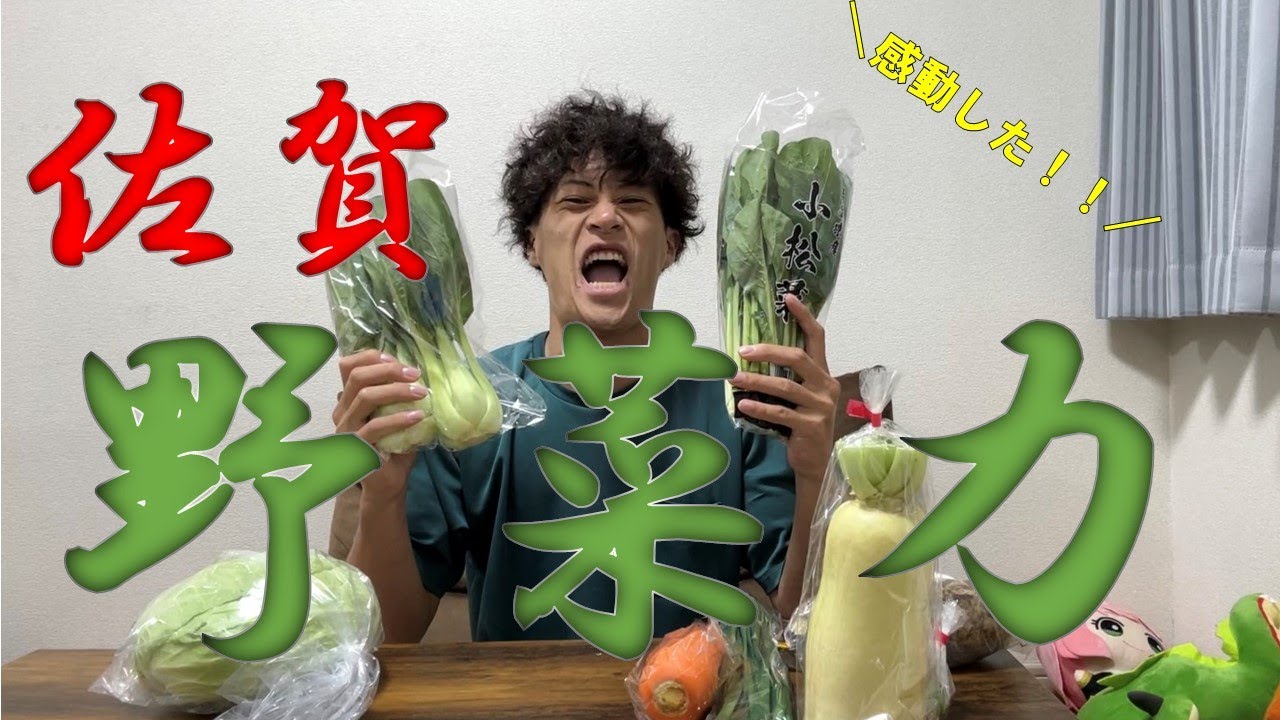 【ふるさと納税】佐賀県から大量に野菜をもらいました！