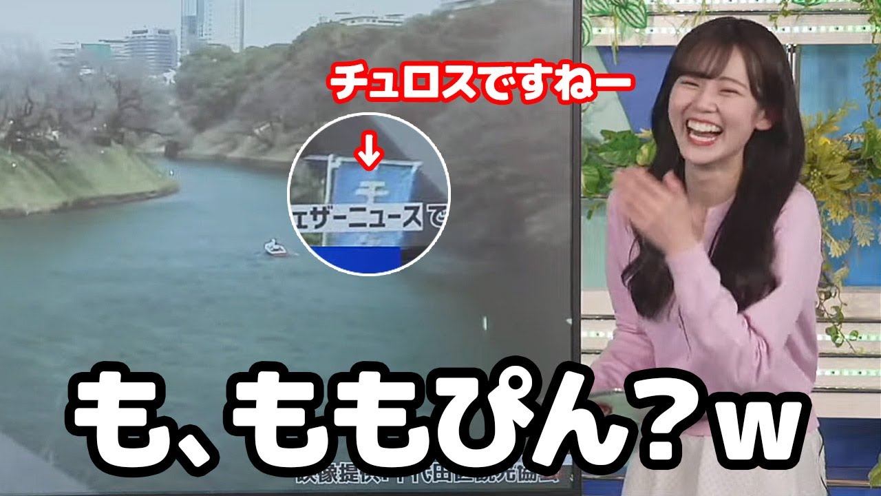 【青原桃香】千鳥ヶ淵ライブカメラに映るのぼりを見て飛んでもない見間違いをするお天気キャスター