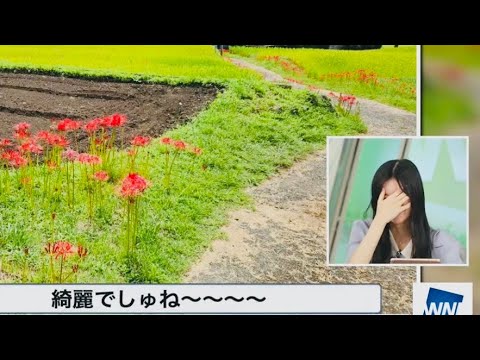 【大島璃音】赤ちゃんを召喚してしまうのんちゃん【ウェザーニュースlive】