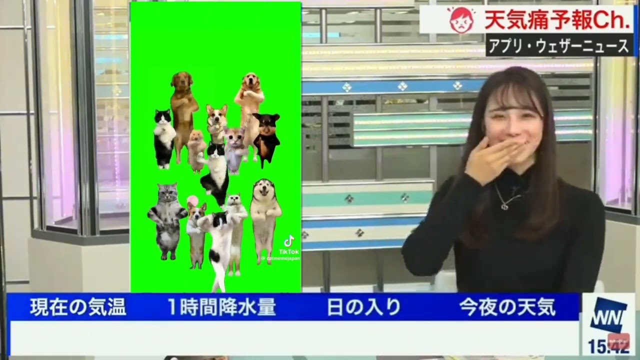 なんちゅうもんみてるや