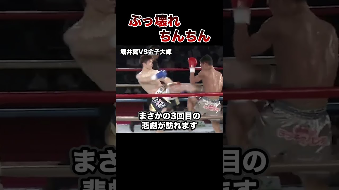 【閲覧注意】ち〇こがぶっ壊れた悲惨な格闘家５選【格闘技解説】#格闘技 #ボクシング #格闘技解説 #ボクシング解説 #堀井翼 #金子大輝 #井上尚弥