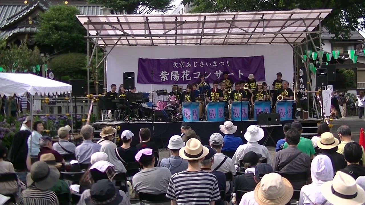 バス・ストップ（平浩二）2023 (令和５年）.6.18 Sunday 第３９回文京紫陽花祭り（文京区　白山神社）紫陽花コンサート
