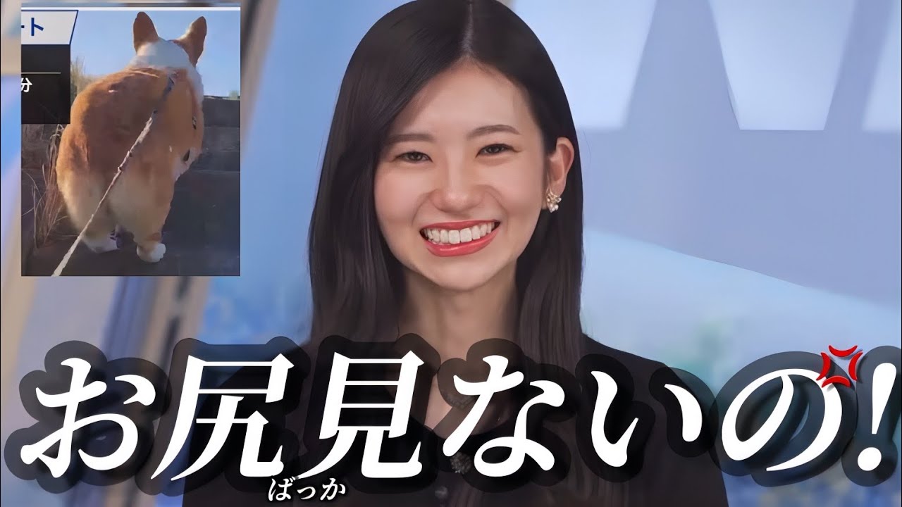 いつもお尻ばっかり見てる視聴者を叱るお天気お姉さん【大島璃音】誕生日アピ、ワンワンの日、ナウシカ見てない
