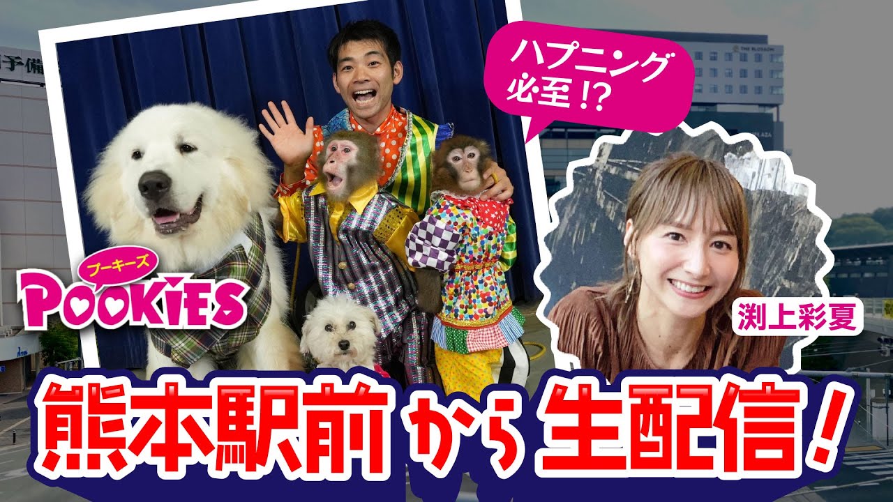 熊本駅前におサルが出没！？｜Pookies＆フッチーのKAB駅前フェスタオンライン