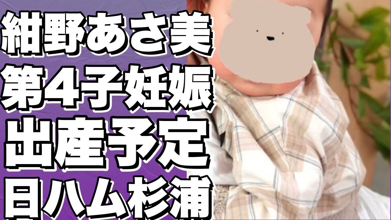 元モーニング娘。紺野あさ美、日ハム杉浦稔大投手と7年ぶり4人目の子供授かり！出産はいつ？動画あり！!【紺野あさ美】