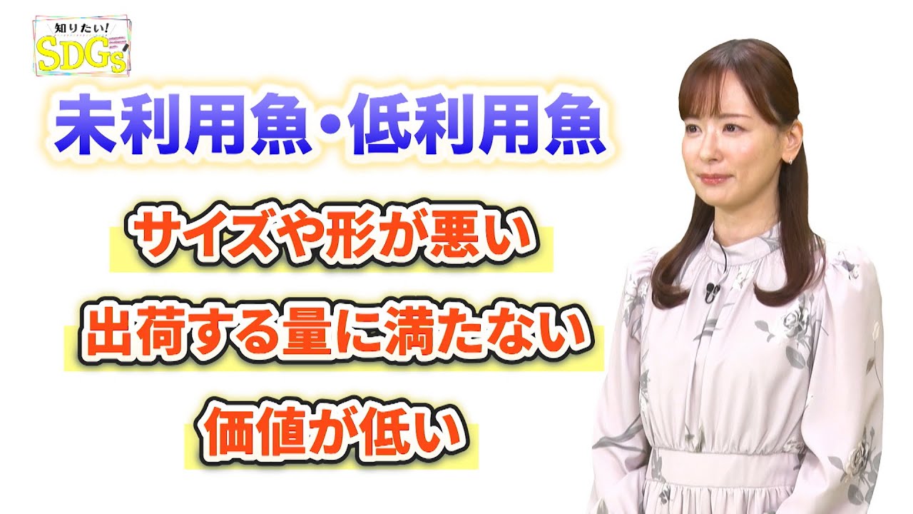 知りたい！SDGs #234 | 2024/3/21放送