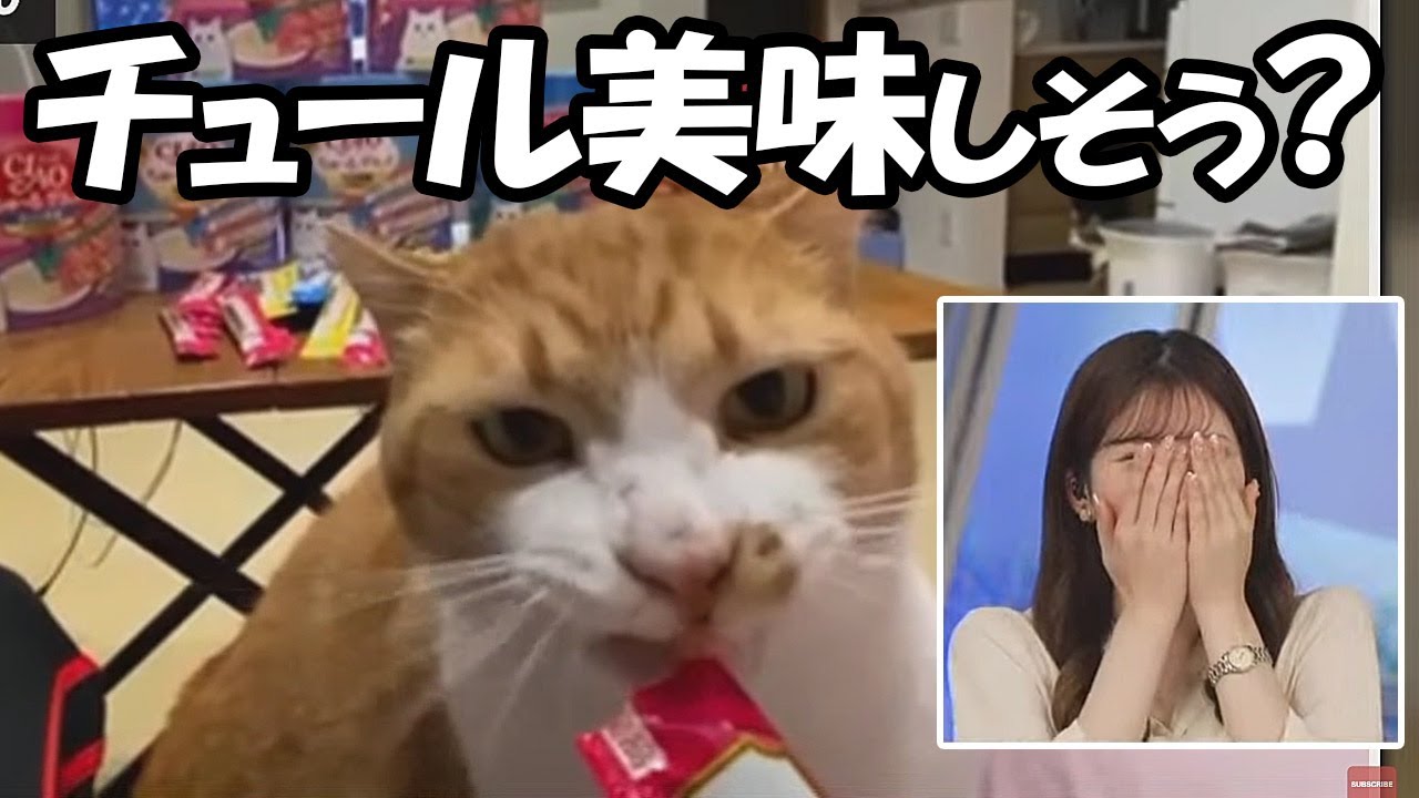 【小林李衣奈】リポートで届いた大量のチュールを見て美味しそうと言っちゃうお天気お姉さん