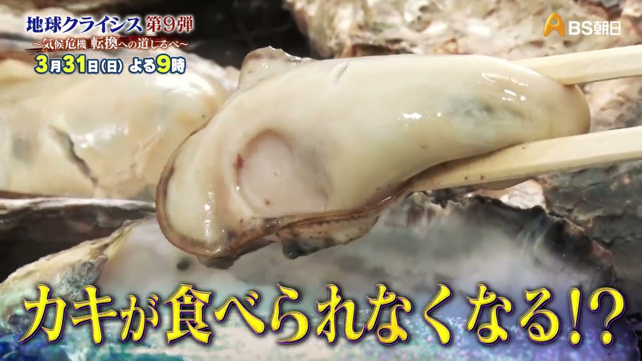 地球クライシス～気候危機　転換への道しるべ～生態系の異変！最前線＆再エネの未来　第9弾