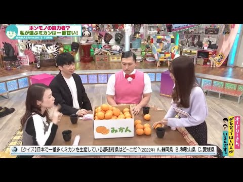 ホンモノの能力者? 私が選ぶミカンは一番甘い! (オードリーさん、ぜひ会ってほしい人がいるんです。)