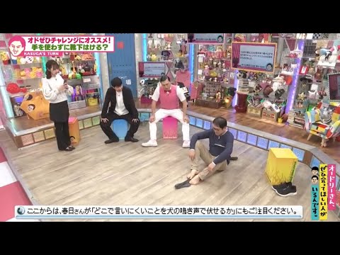 オドぜひチャレンジにオススメ! 手を使わずに靴下はける? (オードリーさん、ぜひ会ってほしい人がいるんです。)