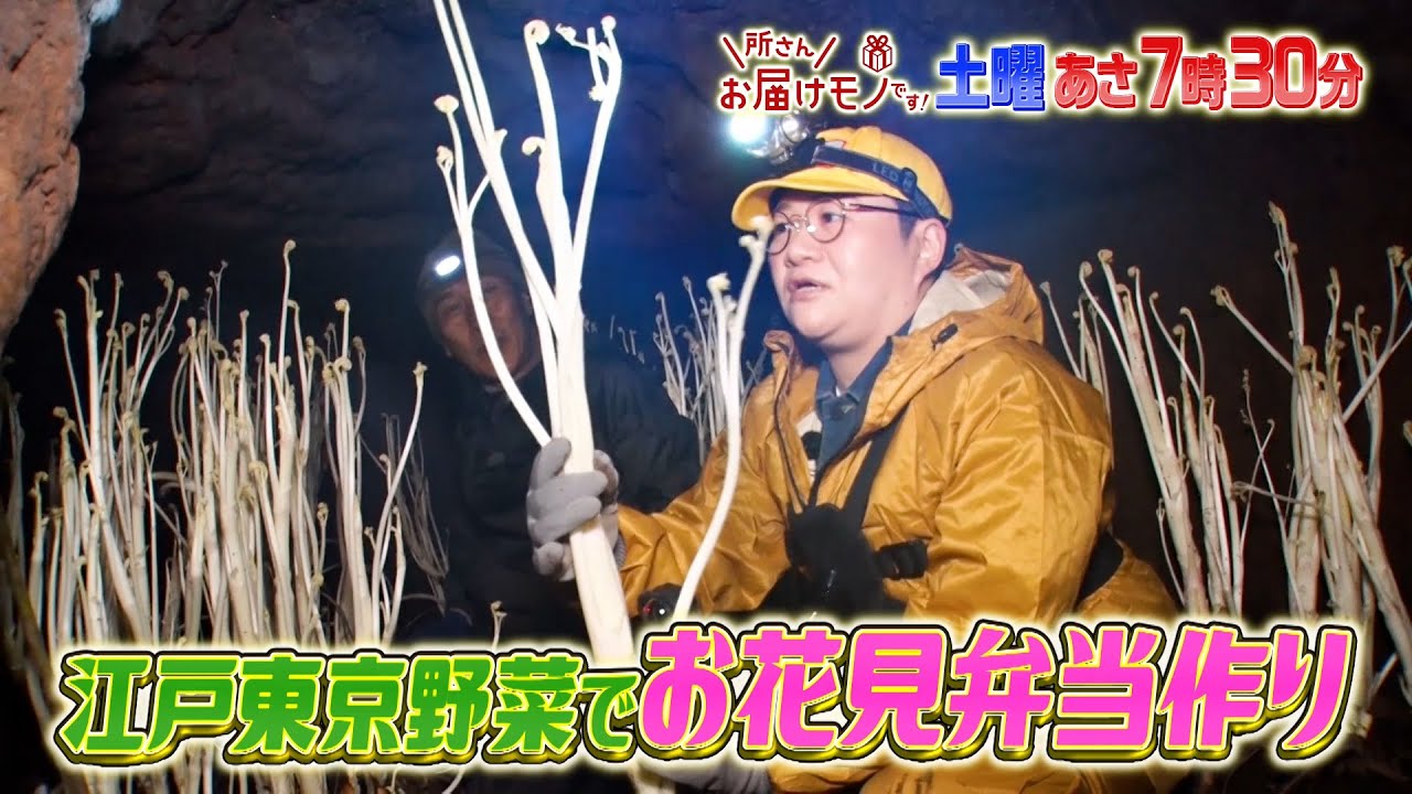『所さんお届けモノです!』3/30(土) 江戸東京野菜でお花見弁当作り!!【TBS】