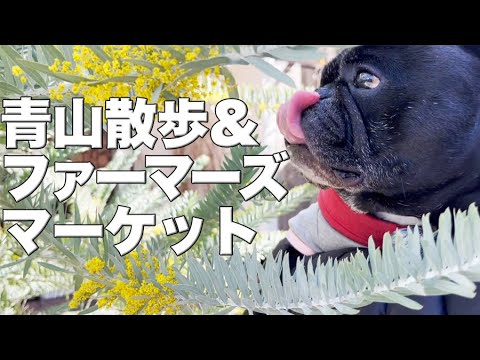 青山ファーマーズマーケットで買い物&誕生日のお祝い