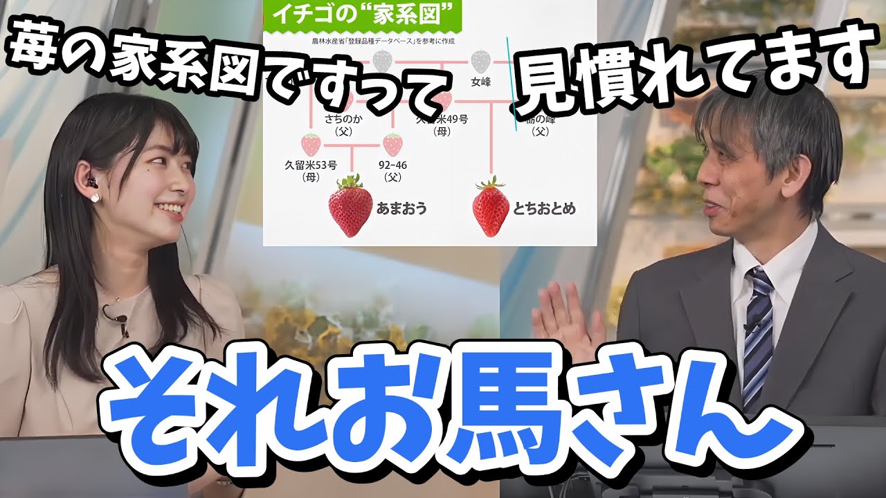 【檜山沙耶・芳野達郎】イチゴの家系図の記事が面白くて芳野さんに伝えたら違う角度から答えが返ってきた【ウェザーニュース切り抜き】