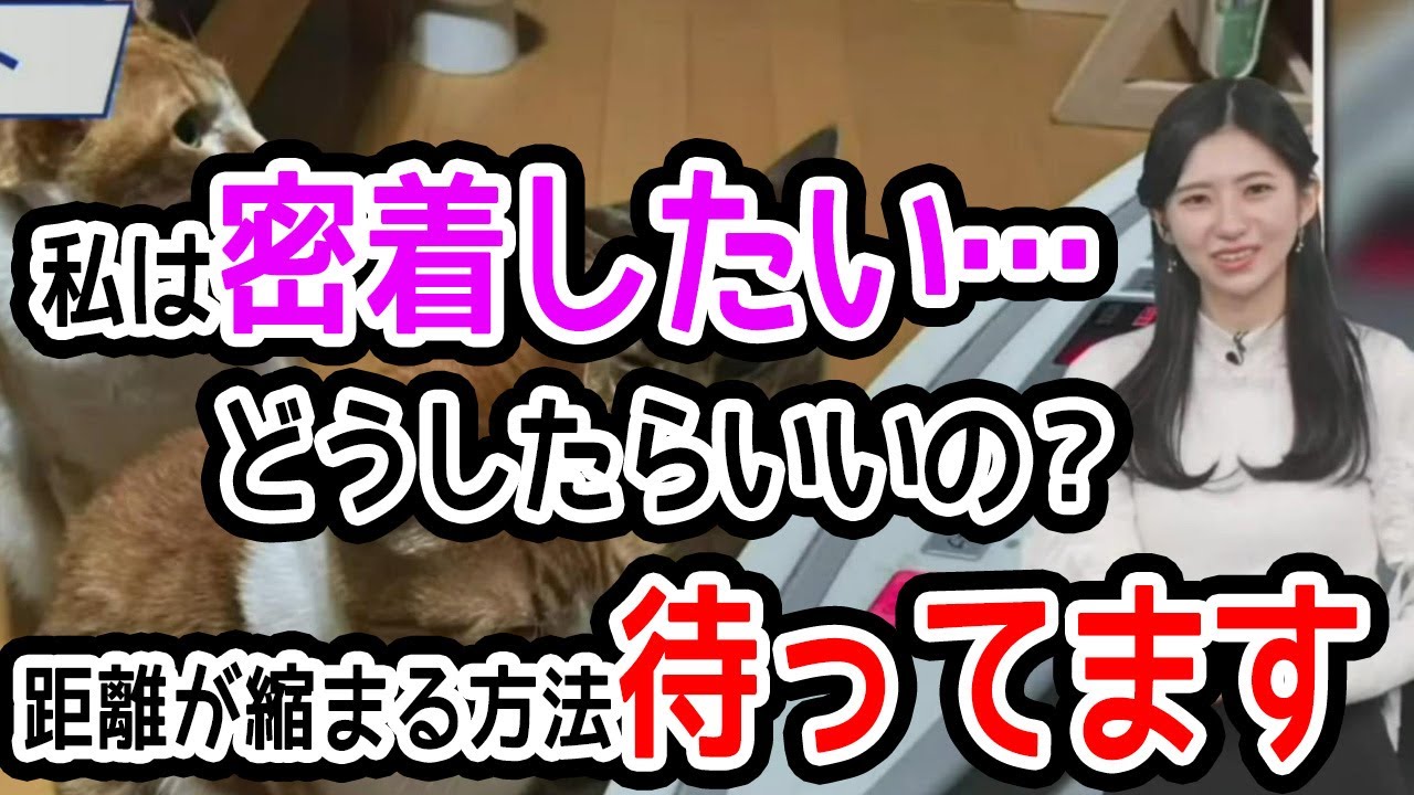 大島璃音 にゃんこと仲良くしたいけど距離感がうまくつかめないお天気お姉さん(ウェザーニュース切り抜き)2024年3月22日～morning～ #ウェザーニュース #大島璃音 #のんちゃん