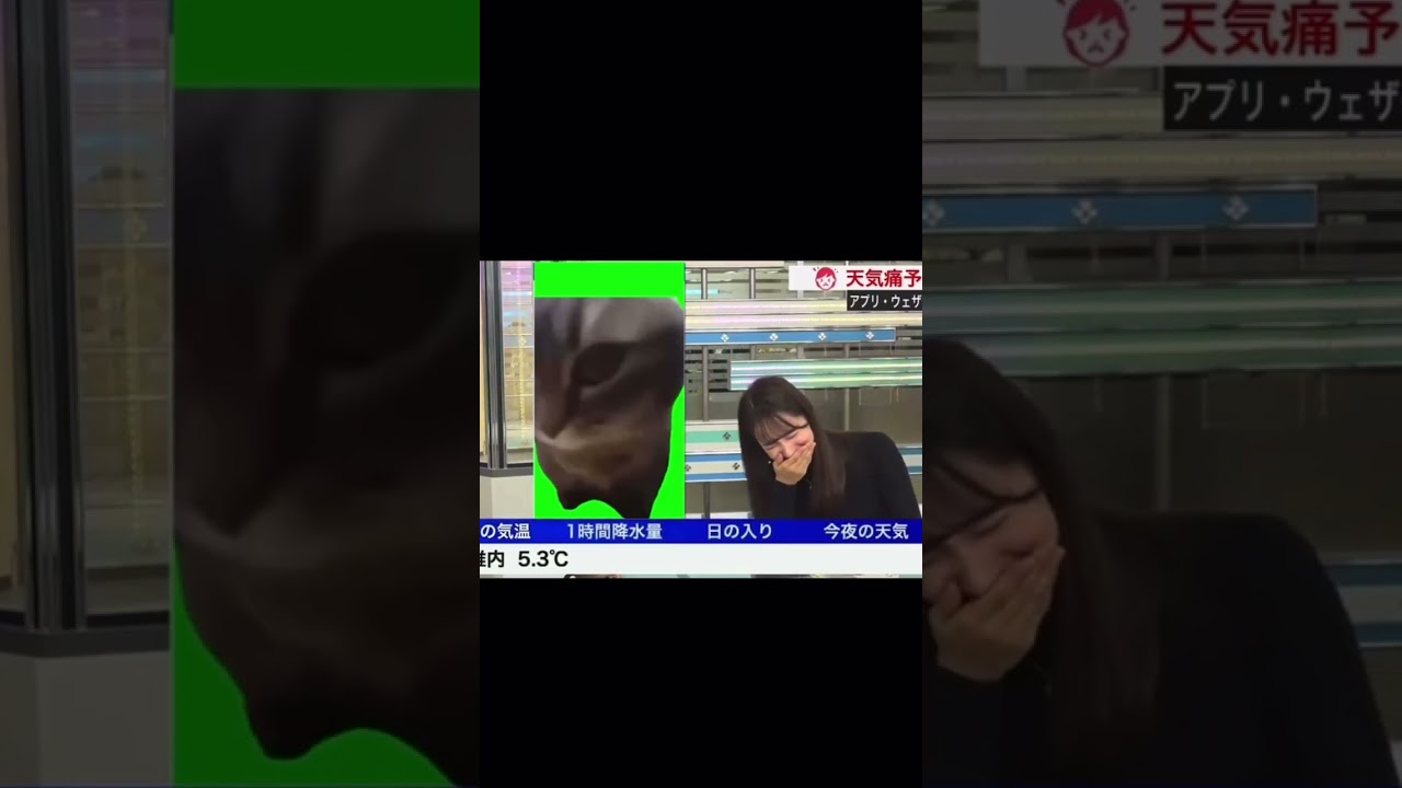 何を見てるんですか？ww　#shorts #ネタ #ネタ動画 #おもしろ #おもしろ動画