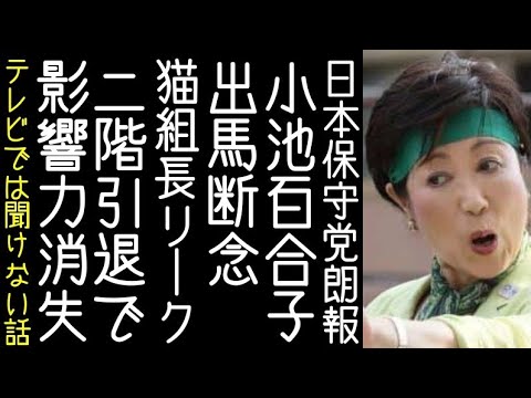 【日本保守党｜飯山陽】小池百合子は東京15区補選に出馬しないと猫組長がリークする【改憲君主党チャンネル】