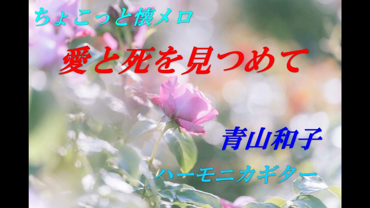 「愛と死を見つめて」（青山和子）ちょこっと懐メロハーモニカギター