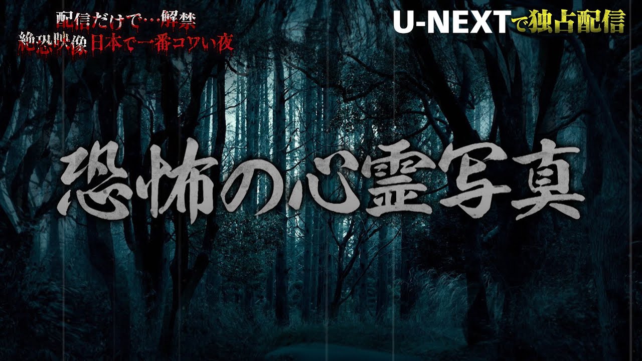 【収録後インタビュー】#6 恐怖の心霊写真『配信だけで…解禁  絶恐映像 日本で一番コワい夜』｜U-NEXTで3月28日より独占配信！